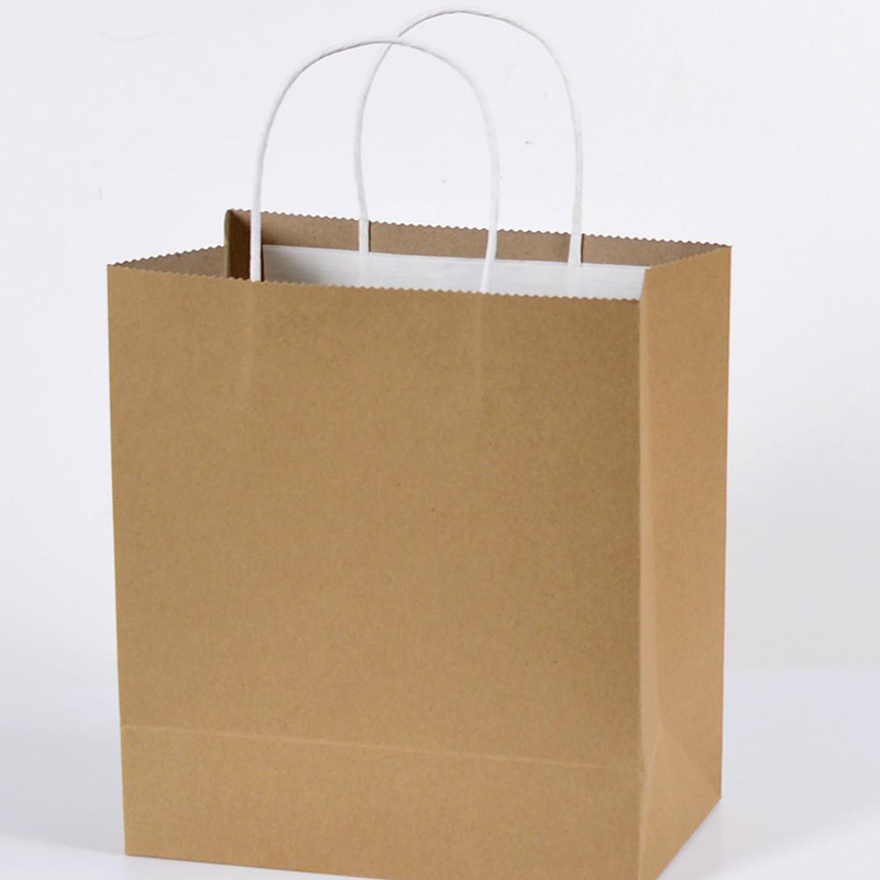 Paper Bag 13 1