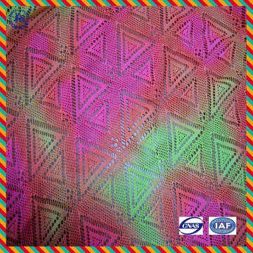 Mesh Swimsuit Fabric