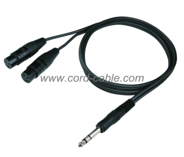 DR Series Dual F XLR to Stereo Jack RCA Cable