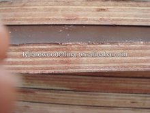 concrete film faced plywood