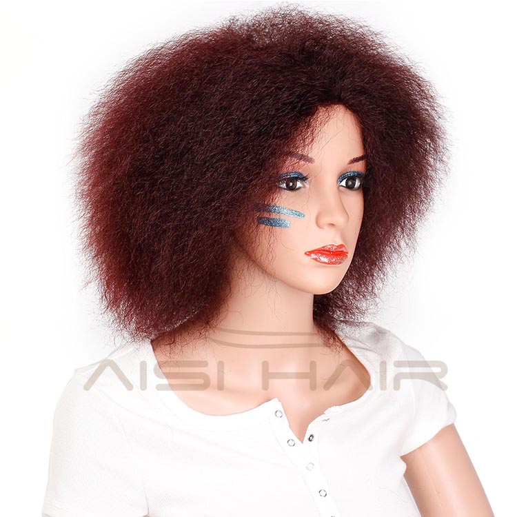 Aisi Hair High temperature Fiber Fluffy Short Wigs Afro Kinky Curly Cosplay Wigs for American Africans