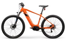 Customized Assisted Electric Cycle
