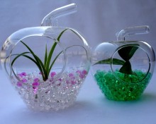 Colourful Crystal Soil Water Beads Vase Decoration