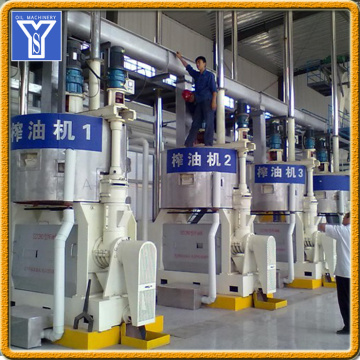 Mustard Oil Mill Pressing Machinery Equipment