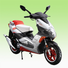 EEC &amp; COC scooter 50QT-13