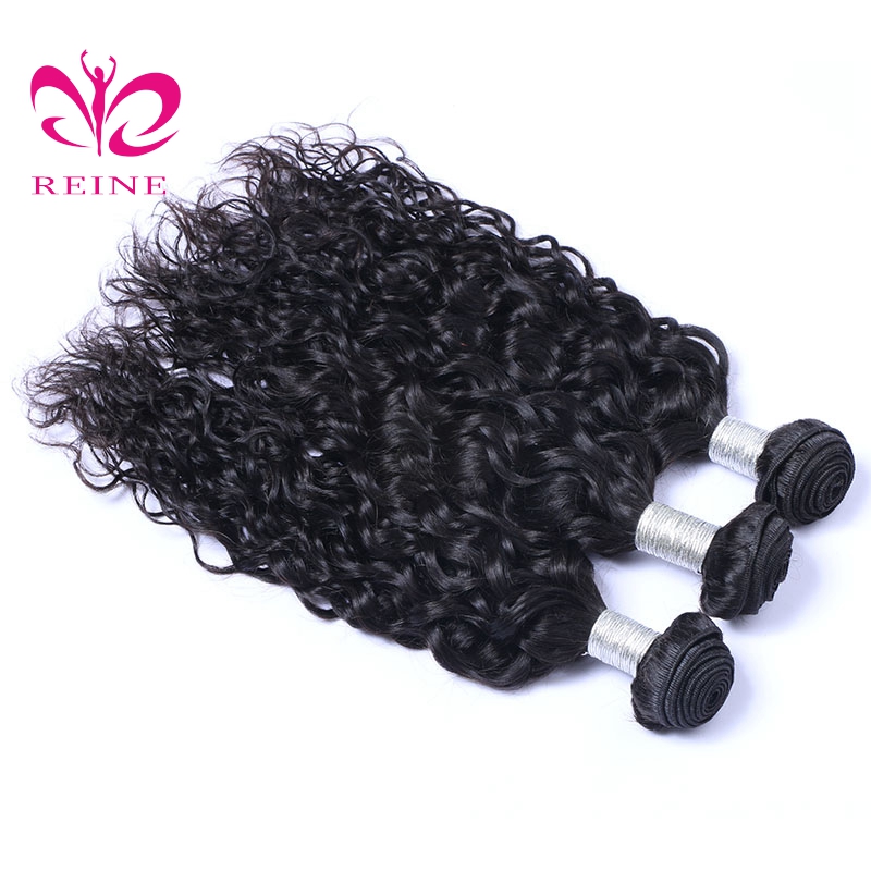 REINE Hair Water Wave Bundles With Closure Brazilian Hair Weave Bundles With Closure Remy Human Hair 3 Bundles With Closure