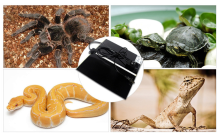 Electric Floor Heating Products Far Infrared Carbon Flexible Heating Film