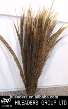 Hot Sale Natural Color Golden Center Pheasant Feather For Festival