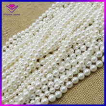 beatiful pure white shell pearls in oyster shell