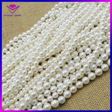 beatiful pure white shell pearls in oyster shell