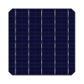 158,75 Bifacial Mono Solar Cell para venda