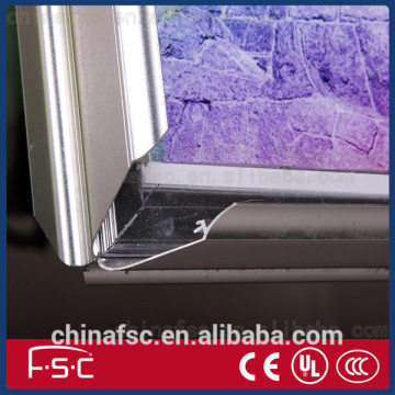 Snap frame bathroom pictures display