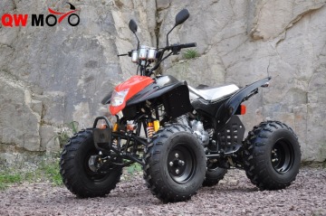 250cc Quad Bike ATV/Quads manual