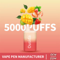 Elf Bar BC5000 Puffs Disponível Vape Pen OEM