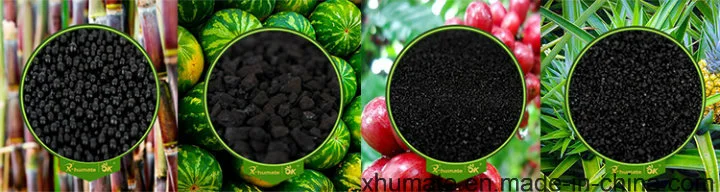 Humic Acid Organic Fertilizer that Is Beneficial to Plant Soil