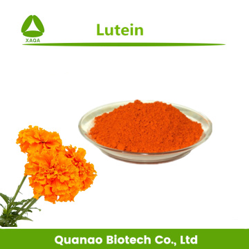 Lutein 80% HPLC Extract Marigold Flower Powder