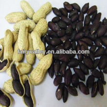 High Yield Heirloom Red/Pink/Colorful/White/Black Peanut Seeds For Planting