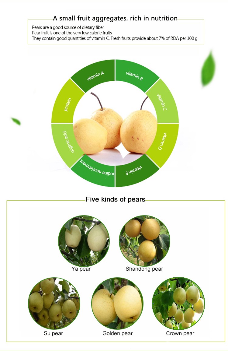 Selling delicious crown pear from China