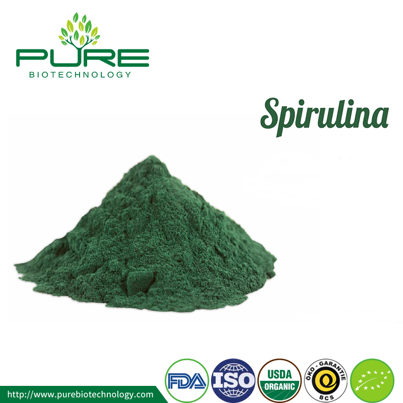 الخام مسحوق سبيرولينا الطازجة العضوية Raw Fresh Spirulina Powder Organic