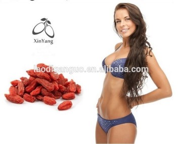 organic ningxia zhongning dried goji berry