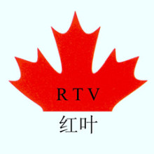 Manual mold silicone rubber