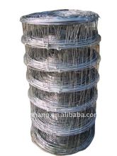 Grassland net with high tension(Factory )