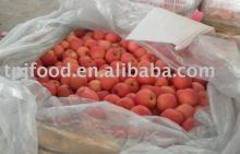 fresh red fuji apple grade A