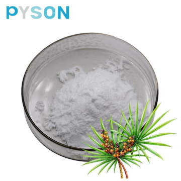 Saw Palmetto Fruit Extract