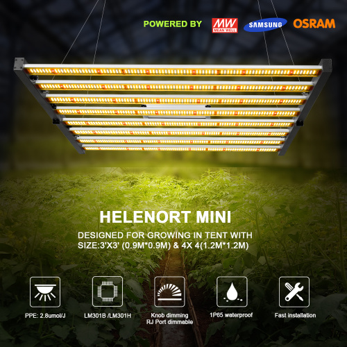 640W LED -licht binnen verticale landbouw