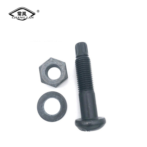 Torsional shear bolts of steel structure