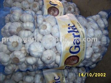 white garlic in sacks