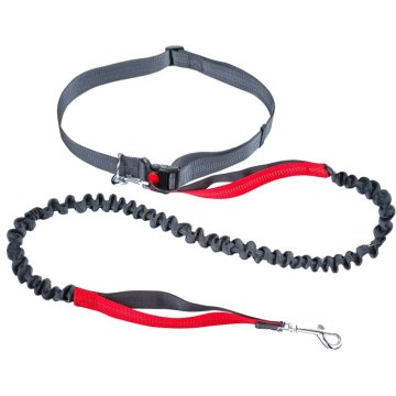 Hands Free Retractable Bungee Reflective Dog Leash