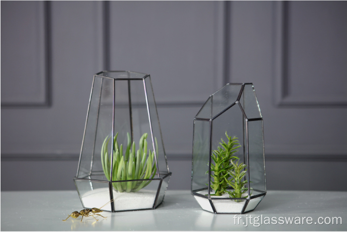 Vente chaude de terrarium en verre pour plantes d&#39;intérieur géométriques