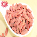 Vitamines Low Fat Nutrition BIO goji berry