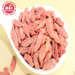 Vitamine Low Fat Nutrition Bio-Goji-Beere