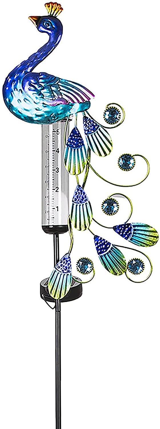 Peacock Rain Gauges con luces solares