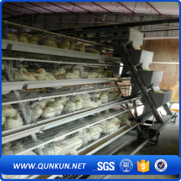 Cage for growing broiler chicken