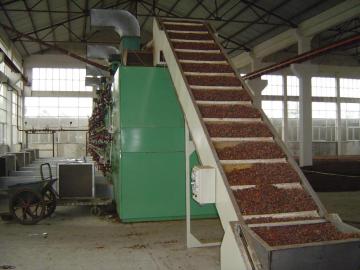 Dehydrated Vegetable Mesh Belt Dryer