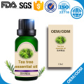 tea tree oil essential oil and dogs cats