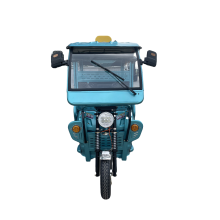 Low priced Tricycle Tuk Tuk Tricycle 3 Wheel Electric Tricycle with Enclosed Roof