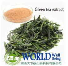 98% Tea Powder Tea Polyphenol Green Tea Extract 