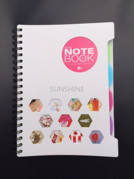 plastic PP products printed pp sheet for notebook cover
