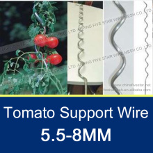 5.5-8MM Galvanized Plant Support Net Wire Mesh with 1.6M