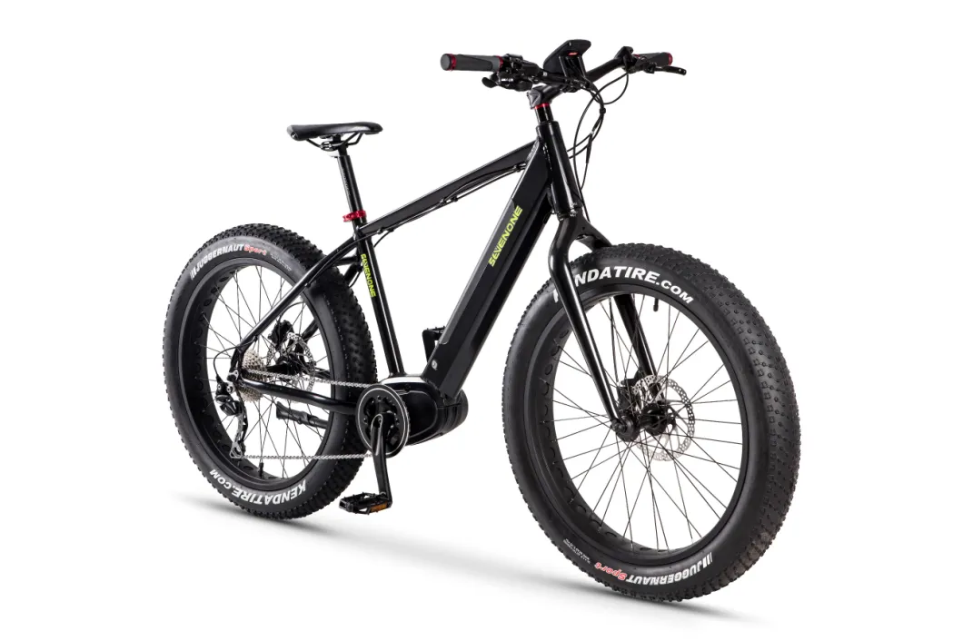 26 Inch Fat Tire Electric Bicycle with Bafang MID Motor