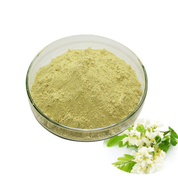 Sophora Japonica Extract Quercetin Rutin Powder 95% quercetin