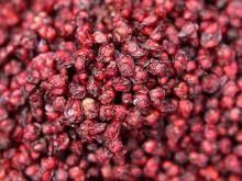 Natural High Quality Schisandra Fruit