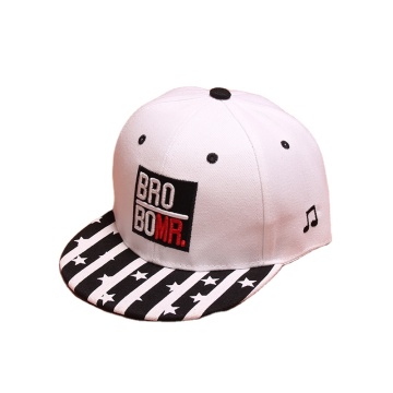 Flat 3d patch embroidery kids children snapback hats