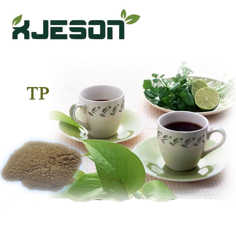 Made In China Tea Polyphenols With Free Samples