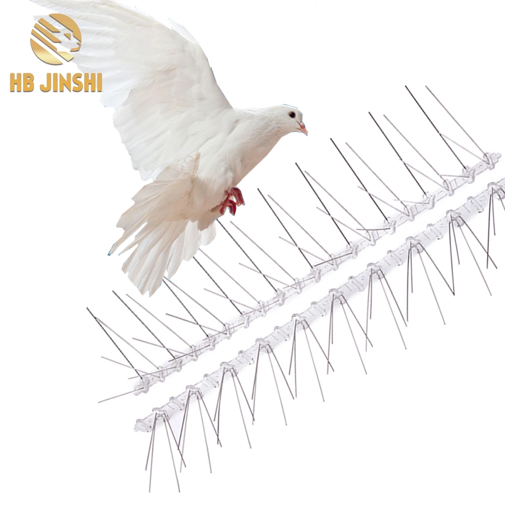 Stainless Steel Anti Bird Control with Plastic Pedestal Bird Spike
