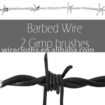 Barbe Wire Fencing (ZY-9)